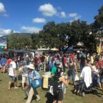 Ohana festival crowd