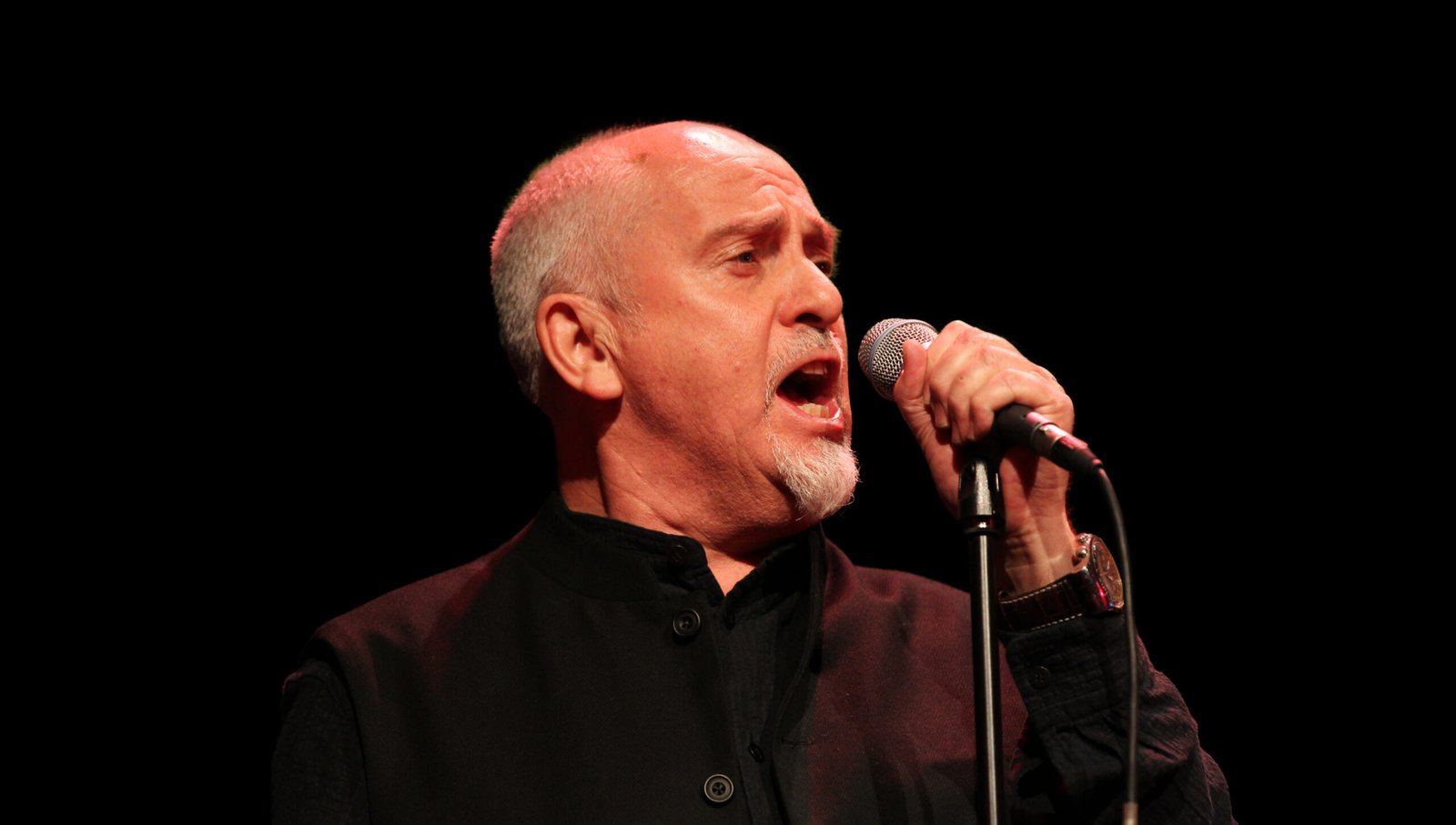 Peter Gabriel: The Art Rock Visionary
