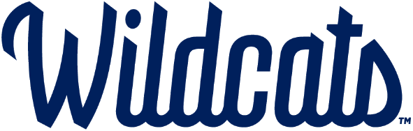 The 2008 Villanova Wildcats (image credits: wikimedia)
