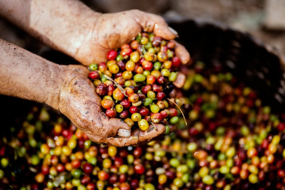 Experiment with Beans & Roasts (image credits: pexels)