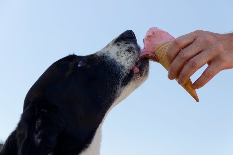 Dog Food Taster πΆ (image credits: pexels)