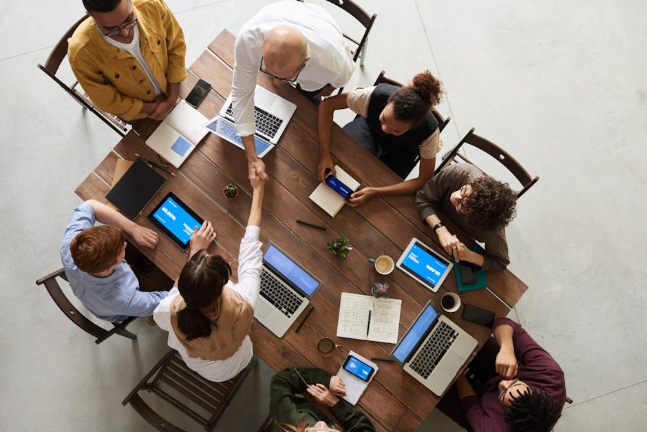 Network & Collaborate (image credits: pexels)