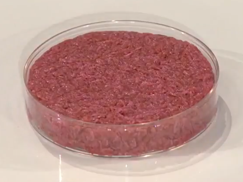 Cultured Meat (image credits: wikimedia)