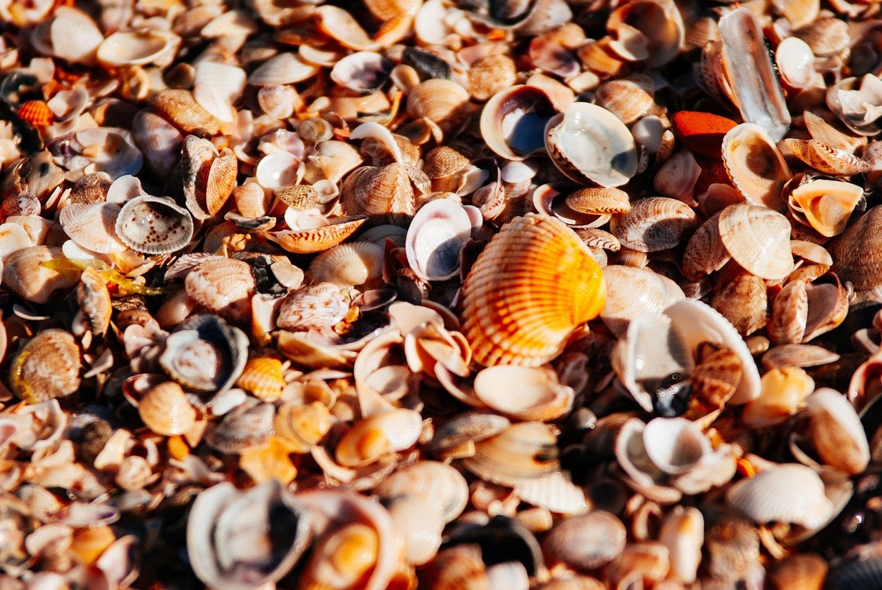 Pearl Foods (image credits: pixabay)