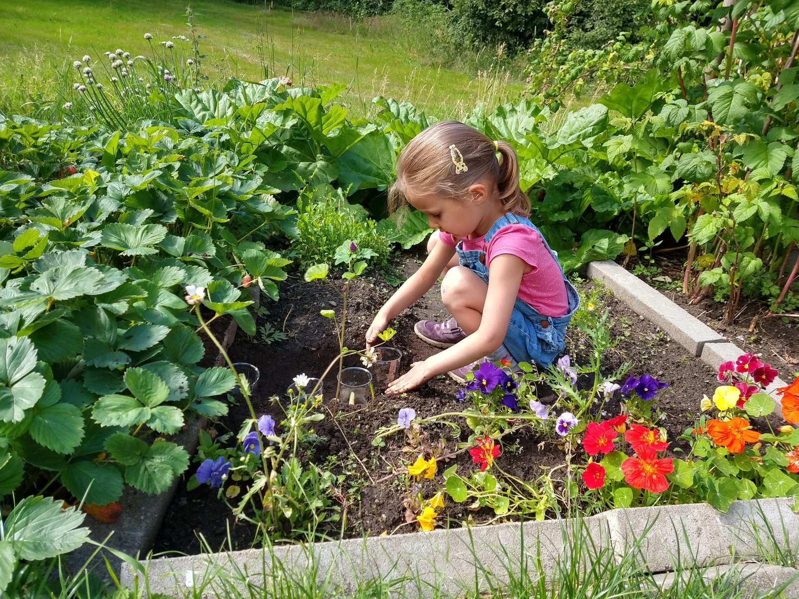 Gardening Adventure (image credits: wikimedia)