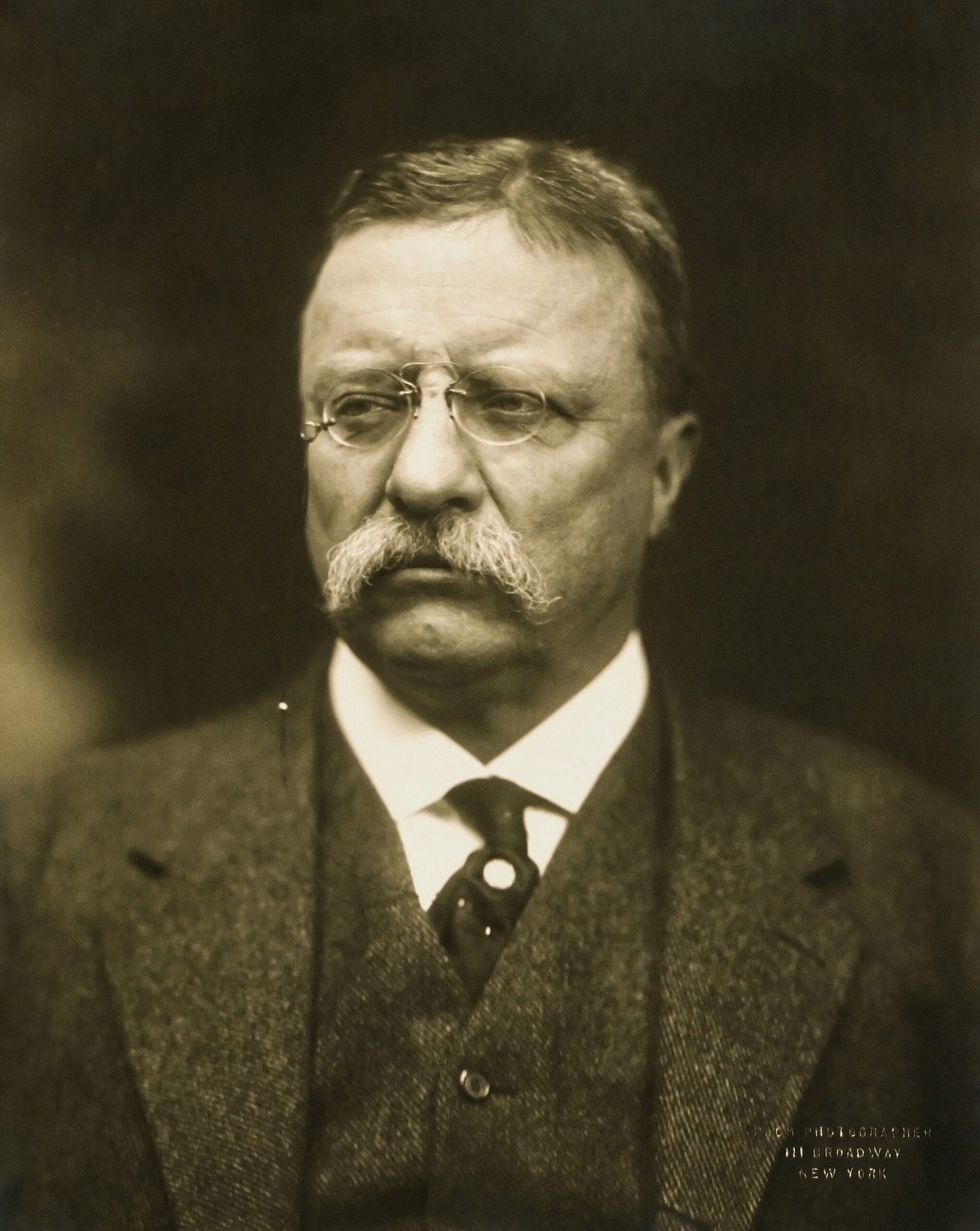 5. Theodore Roosevelt – Eugenics Advocacy (image credits: wikimedia)