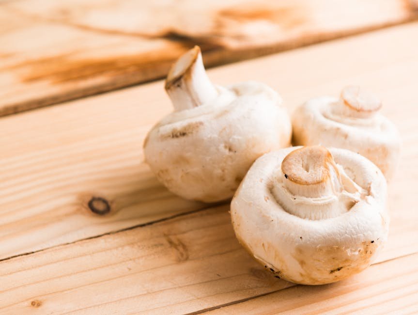 Mushrooms π (image credits: pexels)
