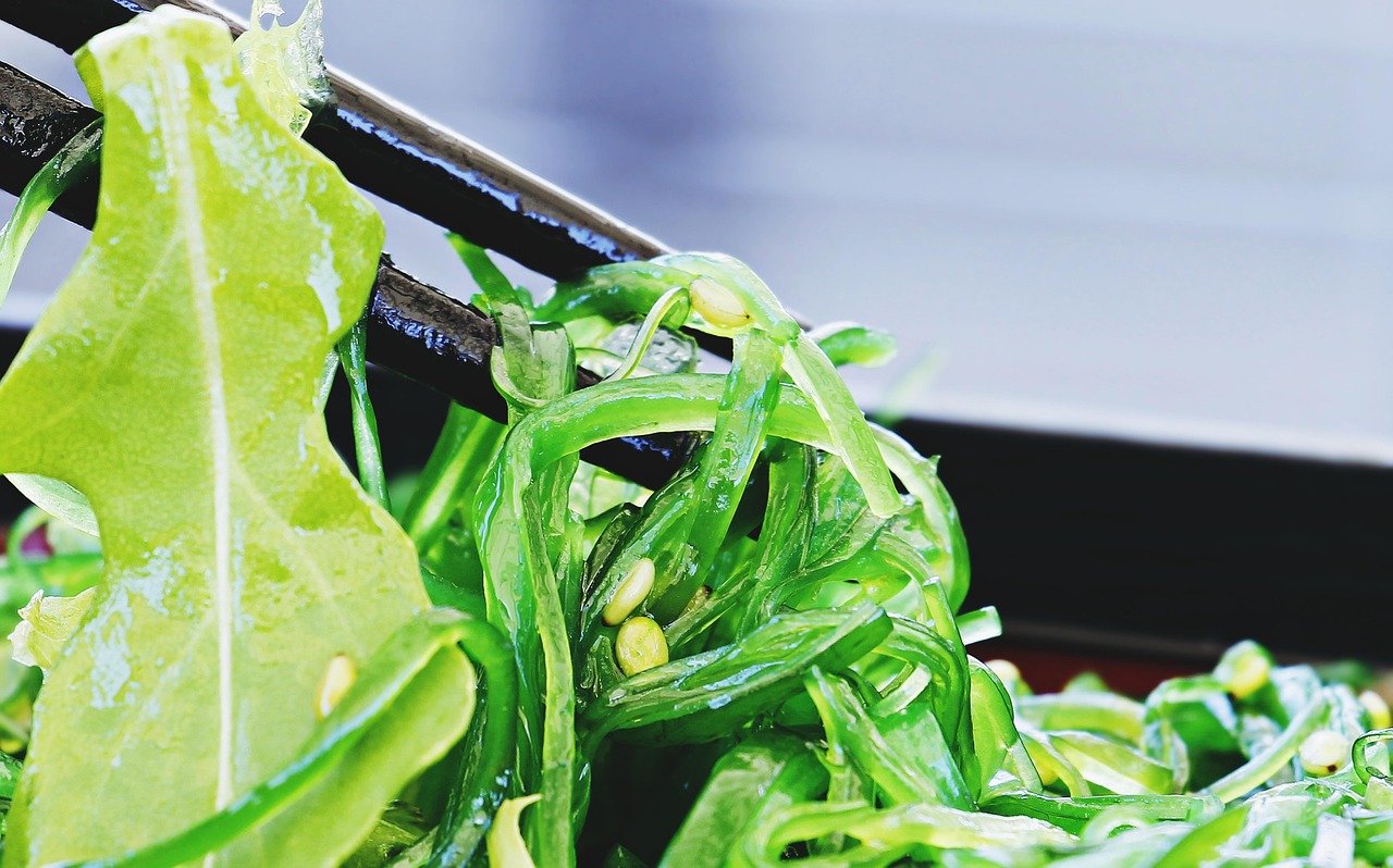 Algae & Lichen-Based Supplements πΏ (image credits: pixabay)
