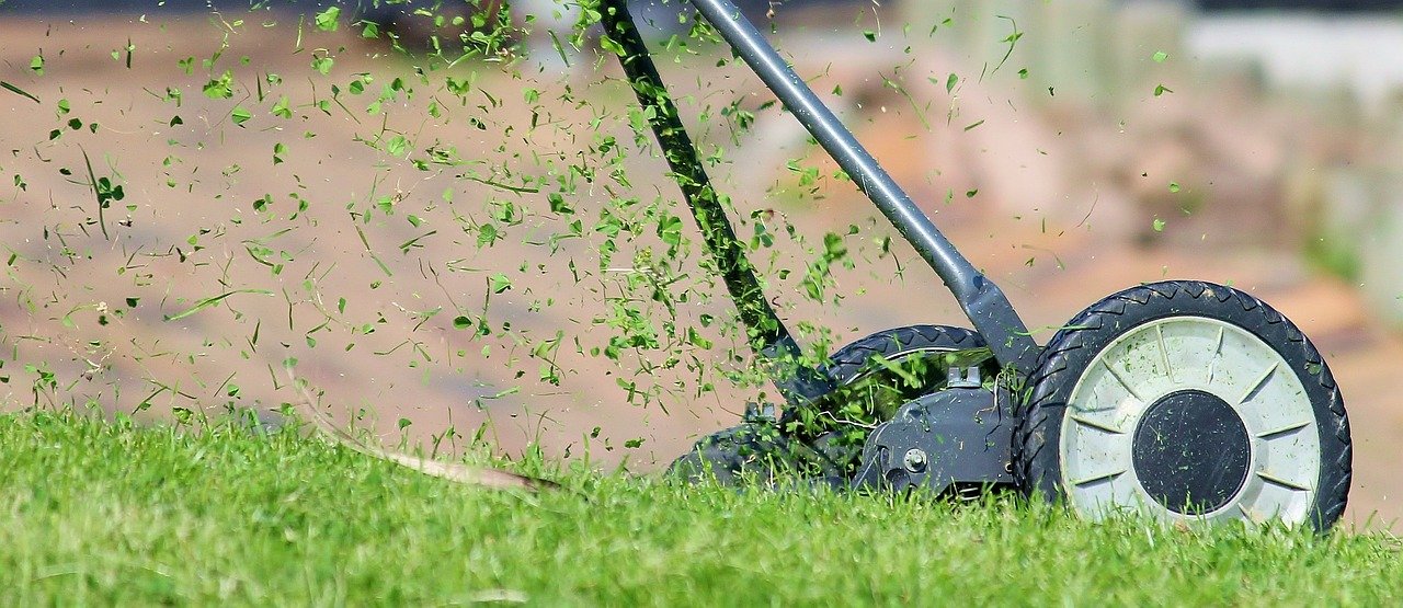 The Smell of Freshly Cut Grass Makes You Happier 🌿😀 (image credits: pixabay)