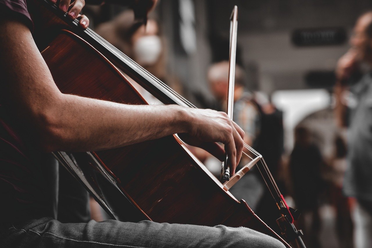 Playing an Instrument Improves Memory and IQ 🎸🧠 (image credits: pixabay)