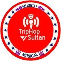 8. Trip-Hop (1990s–Early 2000s) (image credits: wikimedia)
