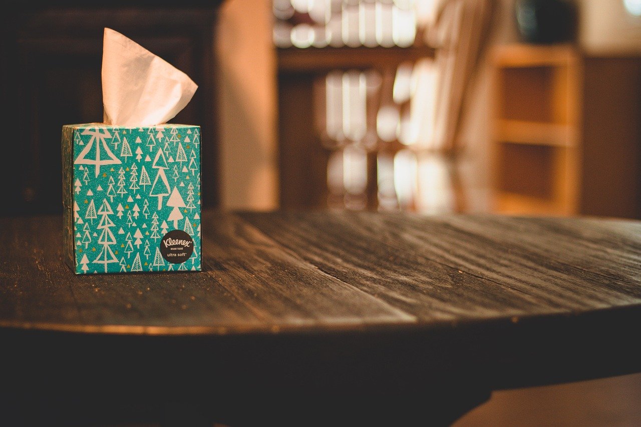 Kleenex: The Tissue That Became a Household Name (image credits: pixabay)