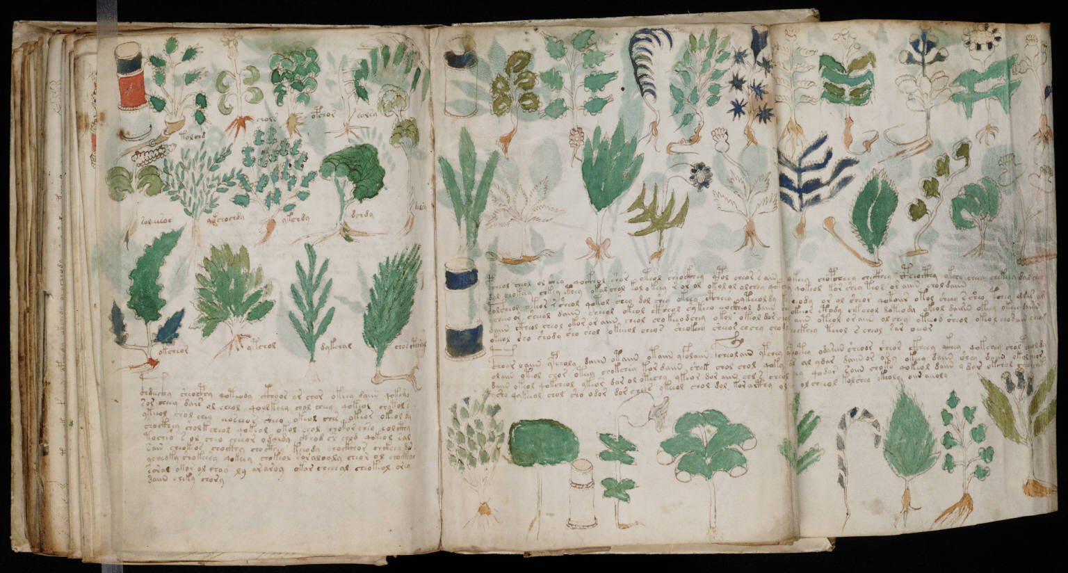 4. The Voynich Manuscript (15th Century, Unknown Origin) – An Unbreakable Code (image credits: wikimedia)