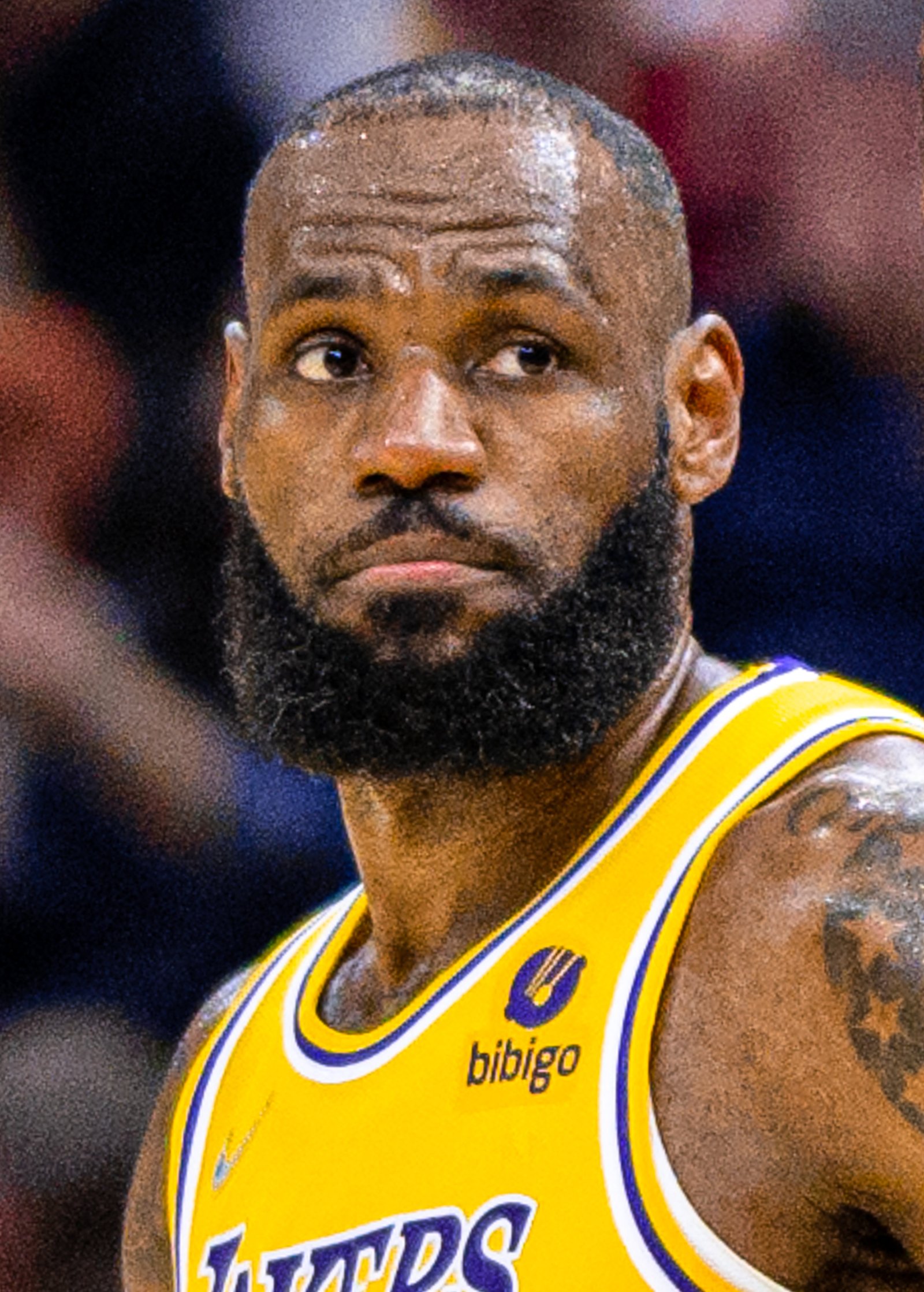 17. LeBron James: From Prodigy to Champion (image credits: wikimedia)