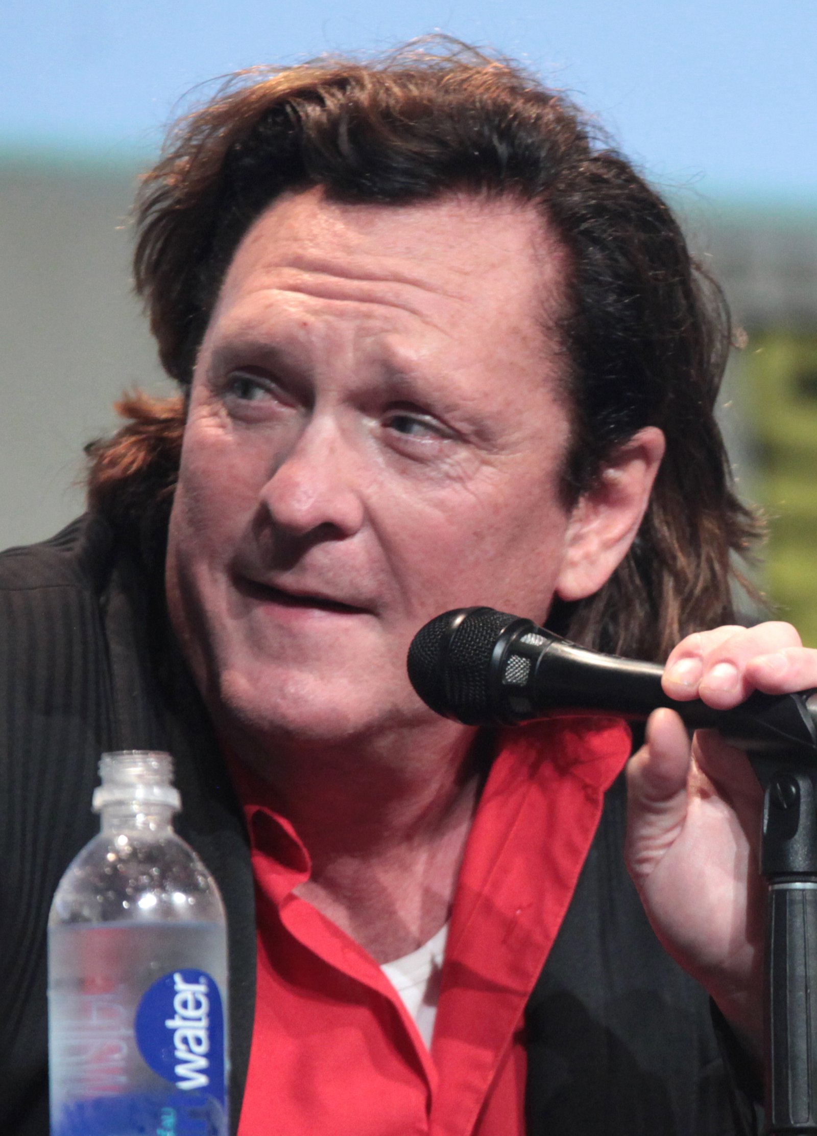 Pulp Fiction – Michael Madsen (as Vincent Vega) (image credits: wikimedia)