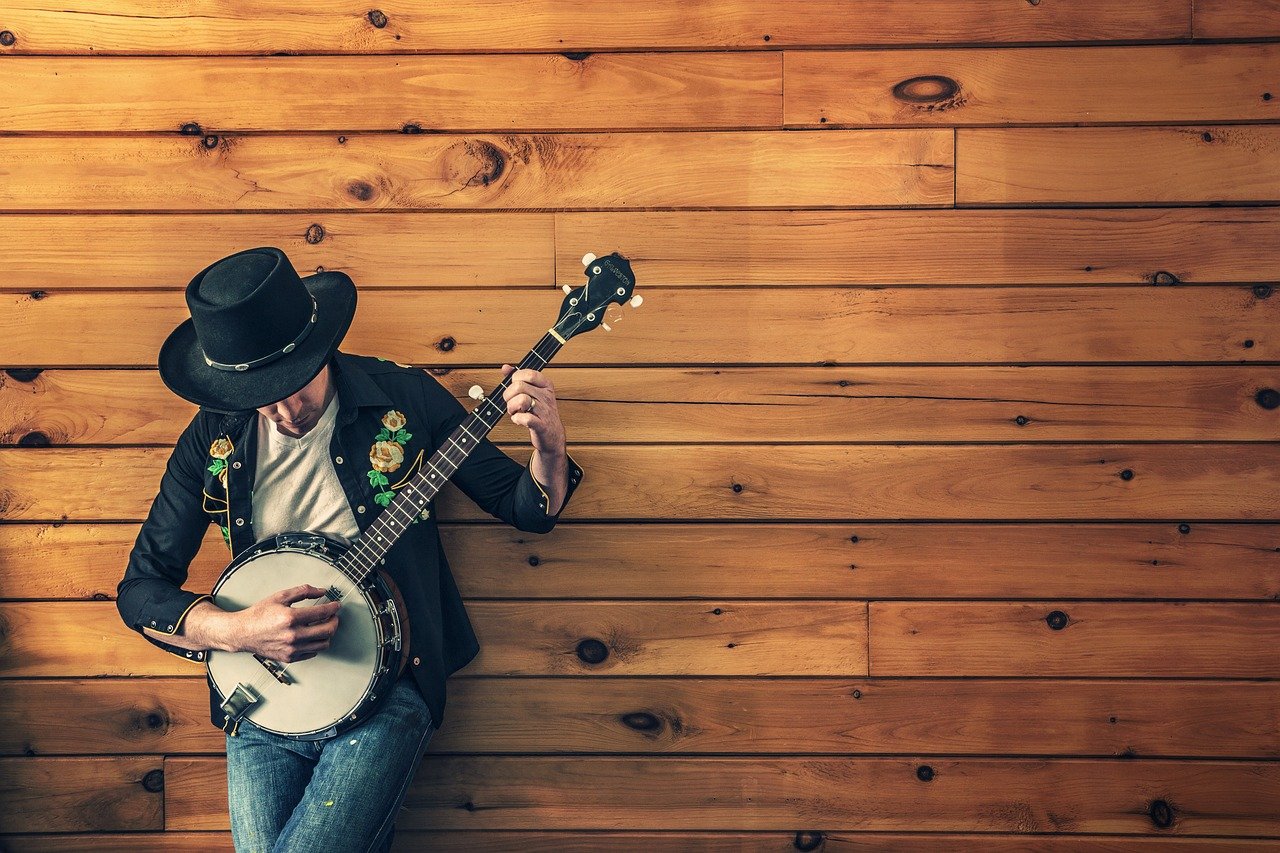 4. Country (1990s → 2000s) – From Traditional to Pop Crossover (image credits: pixabay)