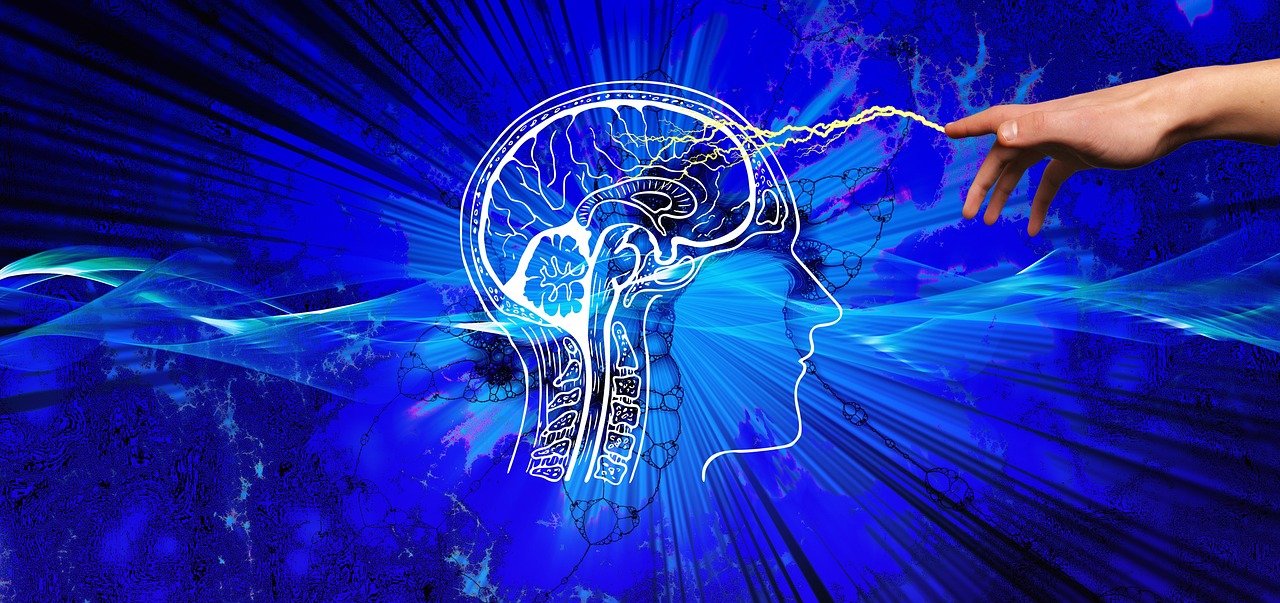 The Brain as a Quantum Computer (image credits: pixabay)
