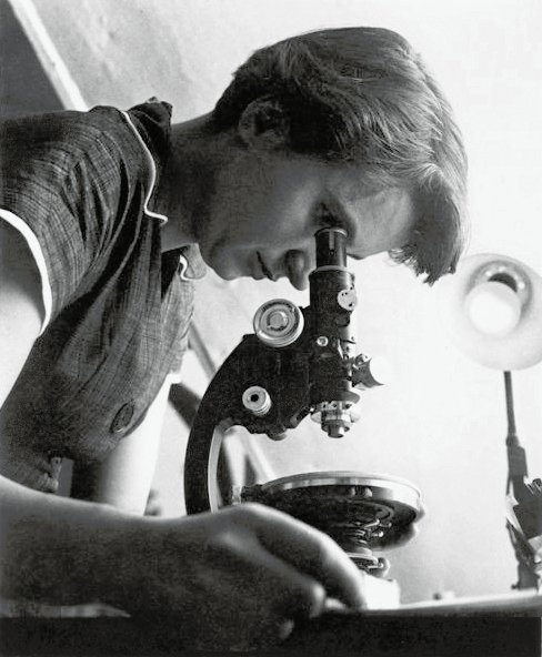 Rosalind Franklin: The Woman Behind the Discovery of DNA (image credits: wikimedia)