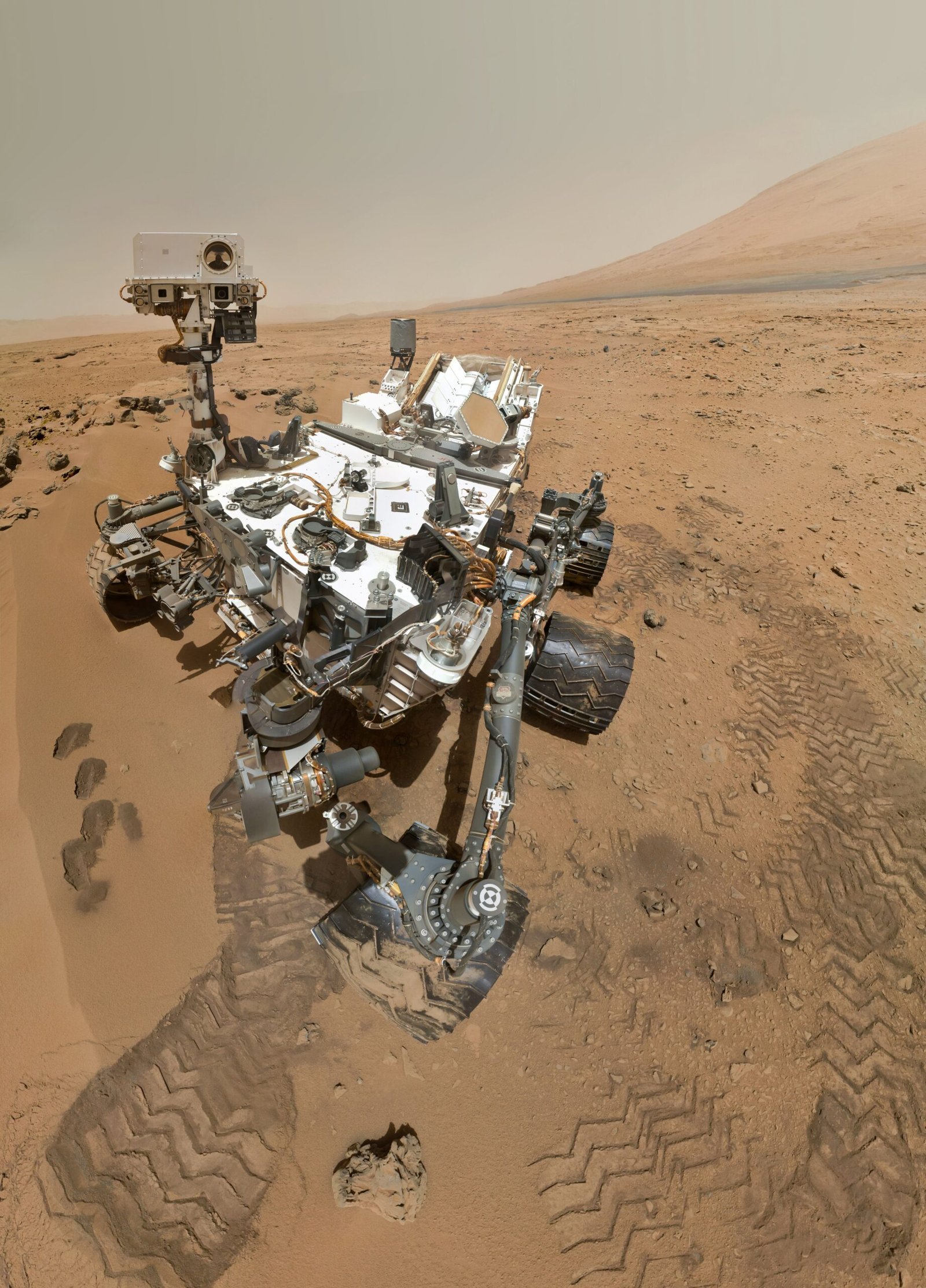 AI & Robotics (image credits: wikimedia)