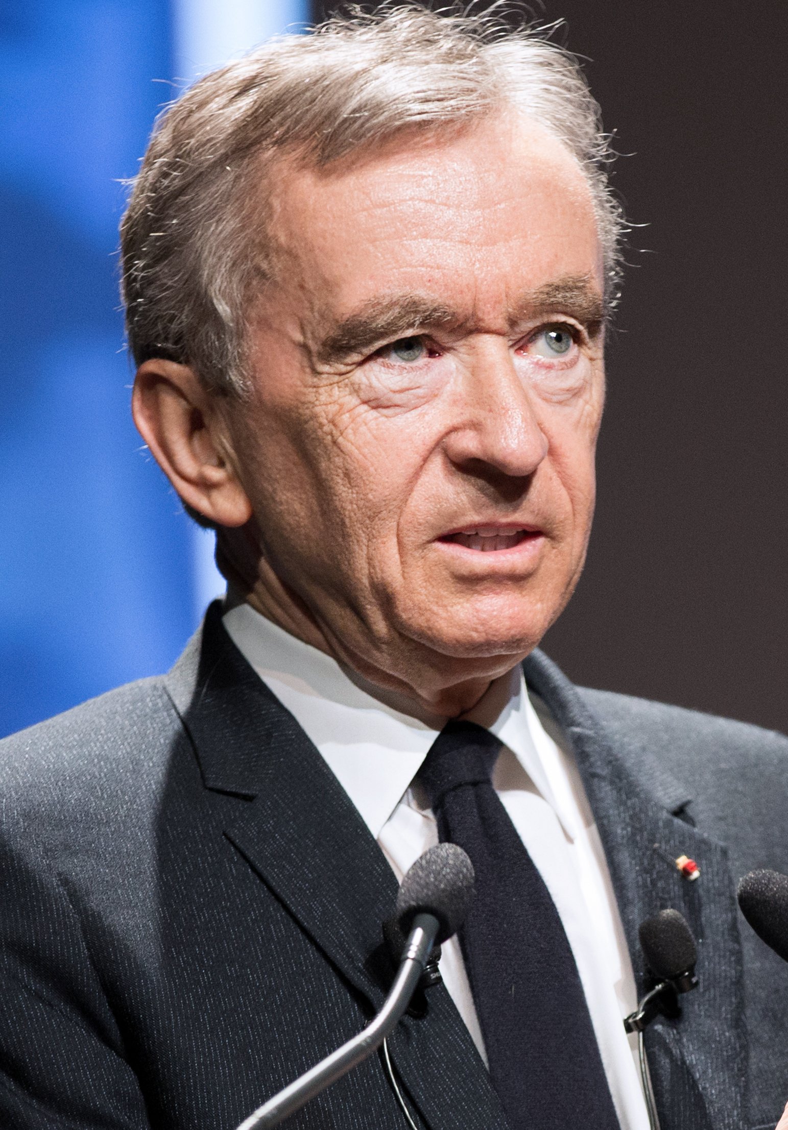Bernard Arnault (image credits: wikimedia)