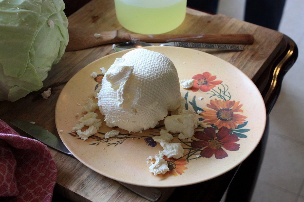 Greek Yogurt – High in Protein, Low in Sugar (image credits: wikimedia)