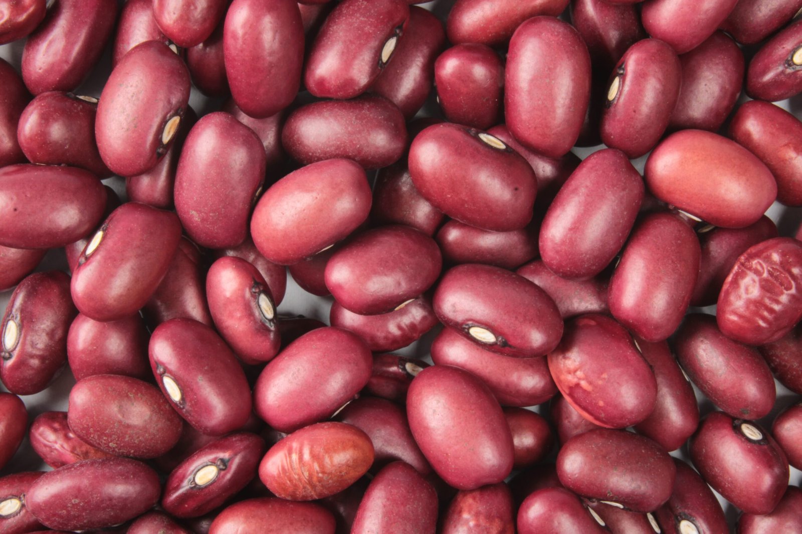 Beans & Legumes – The Secret to Staying Full (image credits: wikimedia)