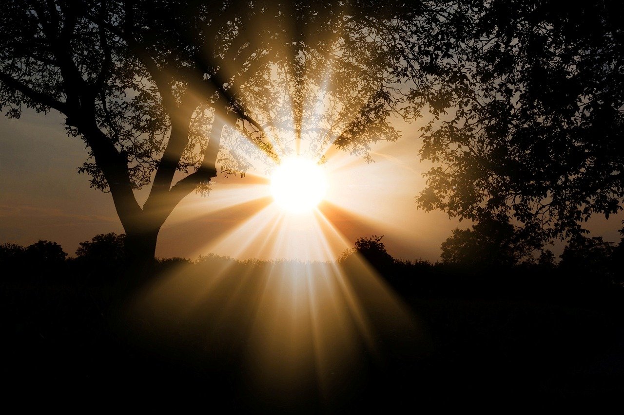 Expose Yourself to Natural Sunlight (Vitamin D) ☀️ (image credits: pixabay)