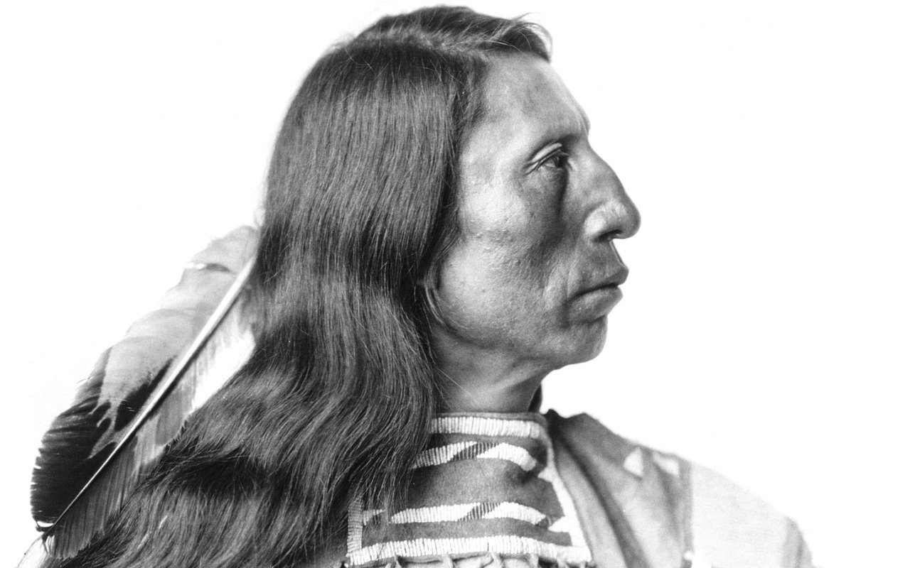 The Native American Tribes: Wisdom of the Earth and the Spirit World (image credits: pixabay)