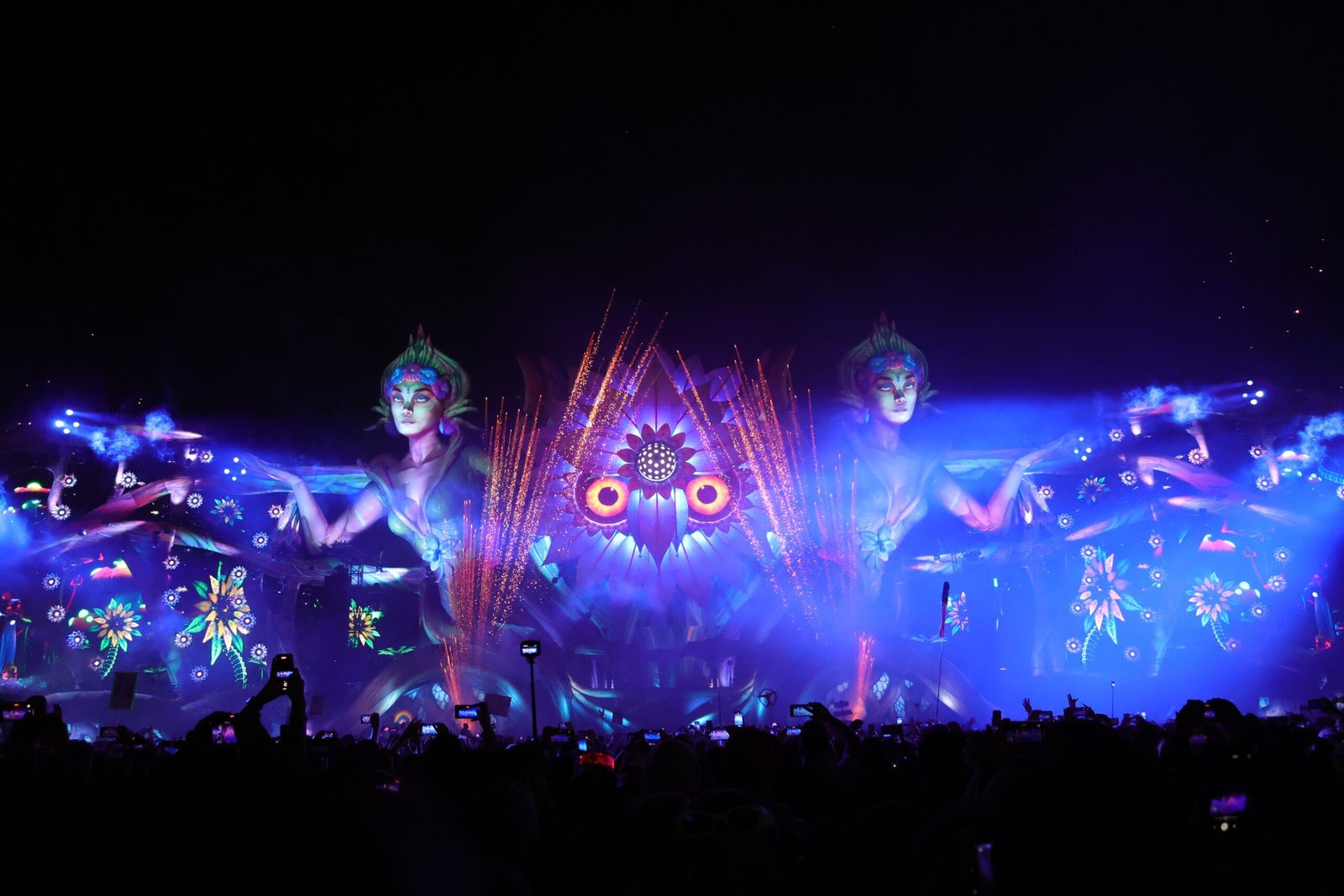 Electric Daisy Carnival (EDC) (image credits: wikimedia)
