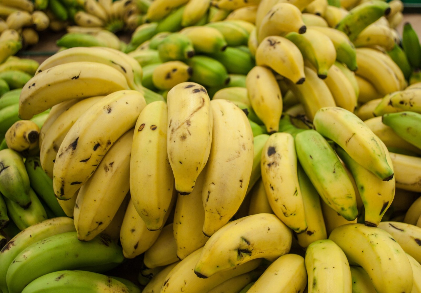 Bananas Are Berries, but Strawberries Aren’t (image credits: wikimedia)
