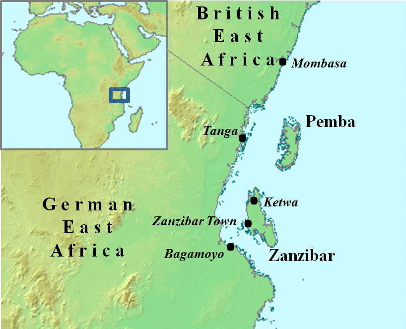 The Shortest War in History Lasted Only 38–45 Minutes (image credits: wikimedia)