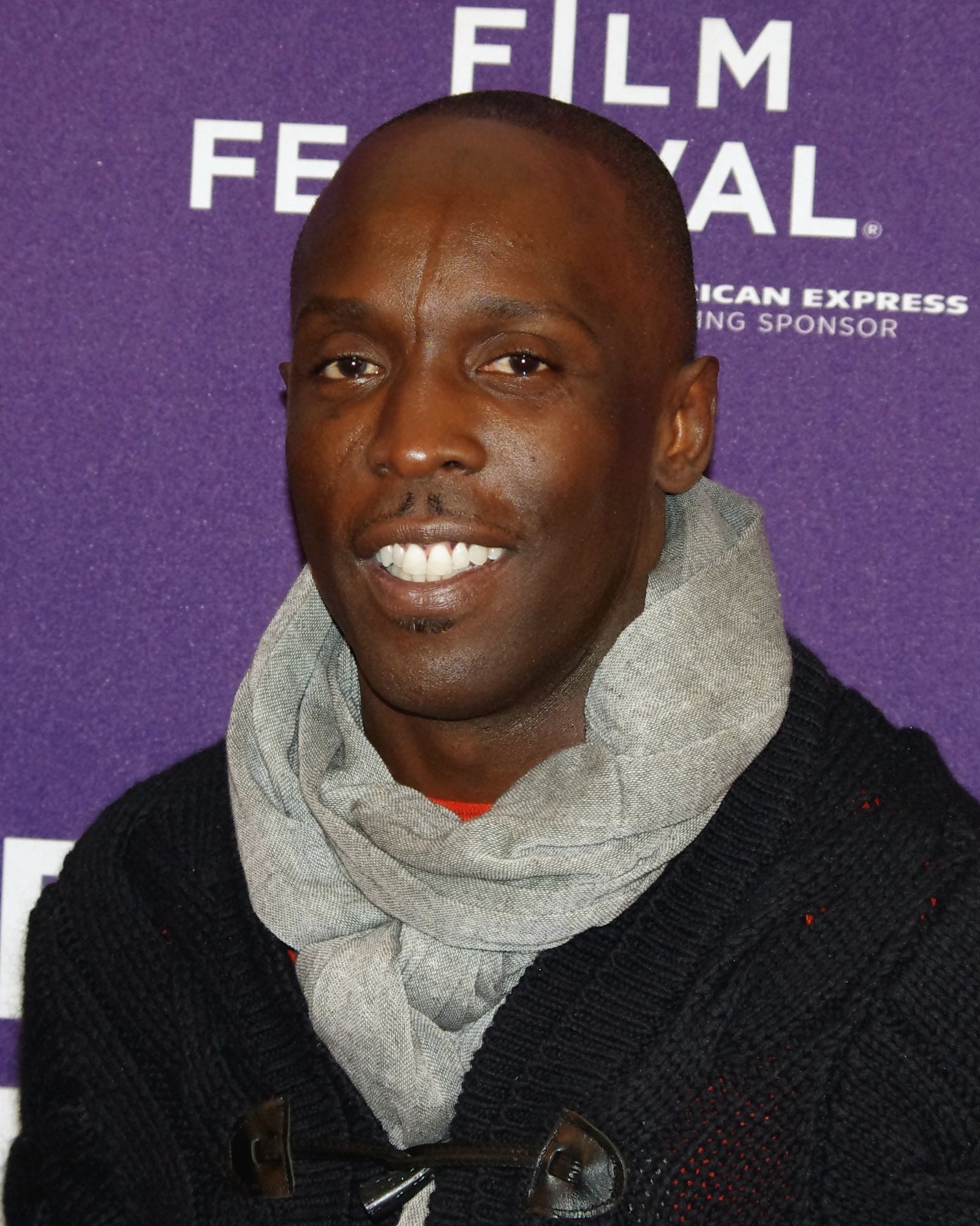 Omar Little (The Wire) (image credits: wikimedia)