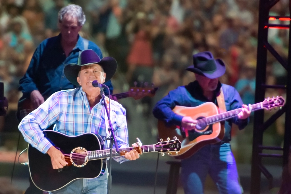 6. Country Music (image credits: rawpixel)