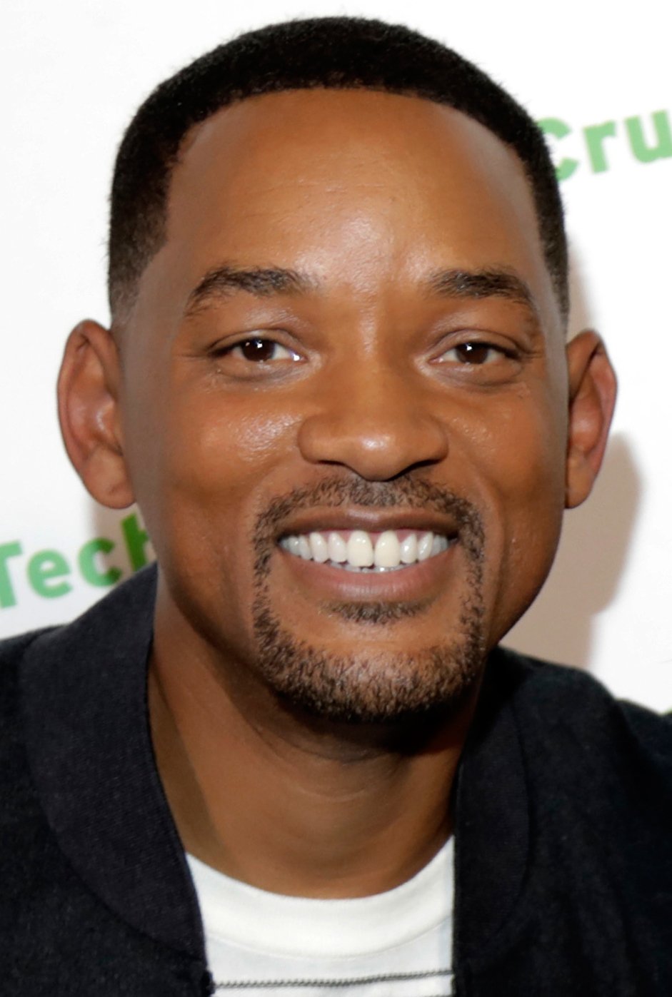 Will Smith – Based on a True Story (image credits: wikimedia)