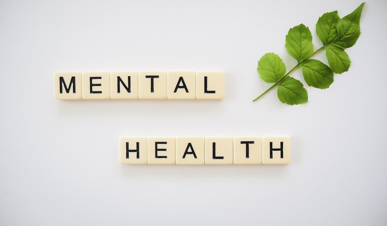 Mental Health Support (image credits: pixabay)