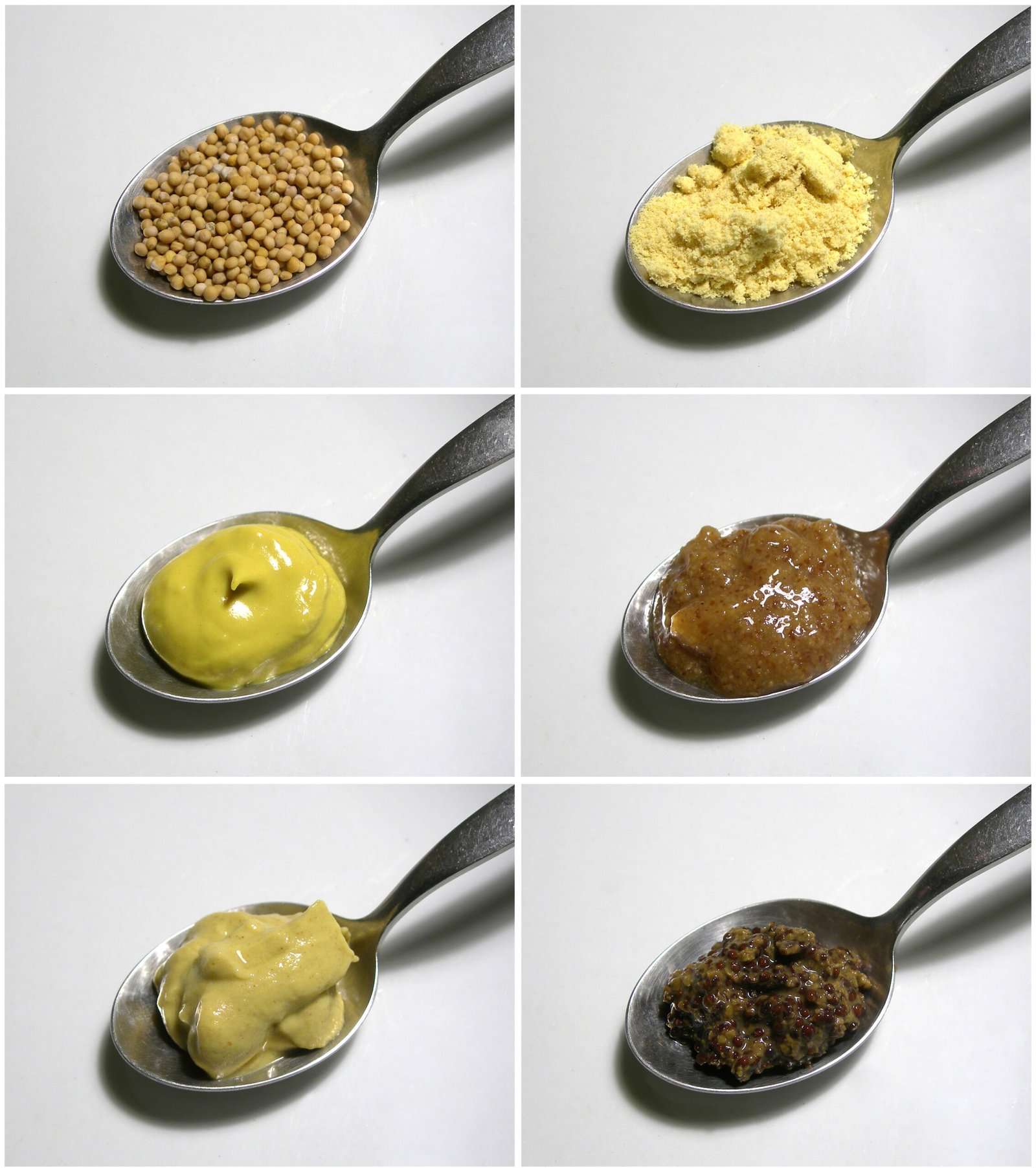 Mustard – The Zesty Classic (image credits: wikimedia)
