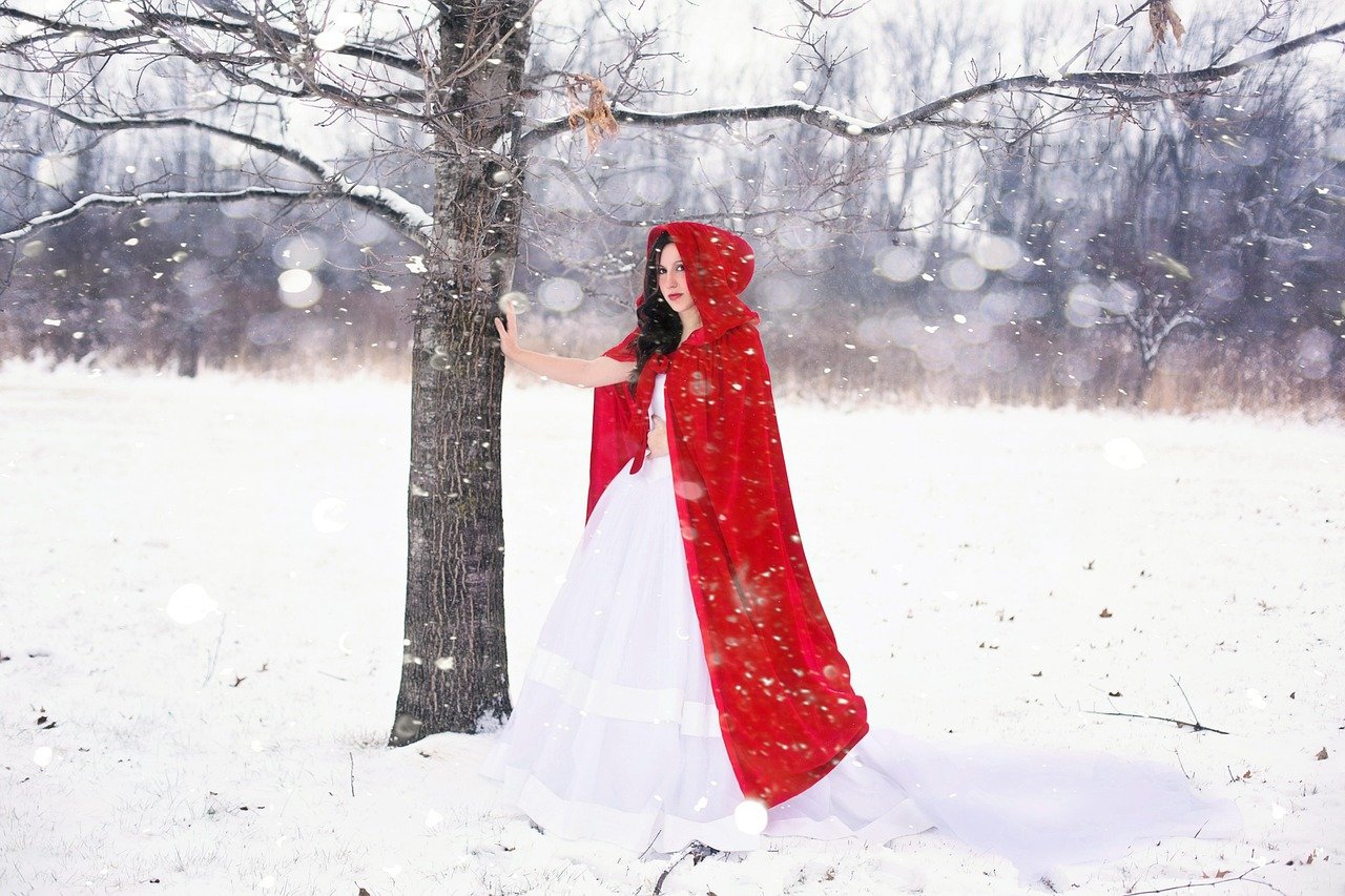 The Handmaid’s Tale by Margaret Atwood (image credits: pixabay)