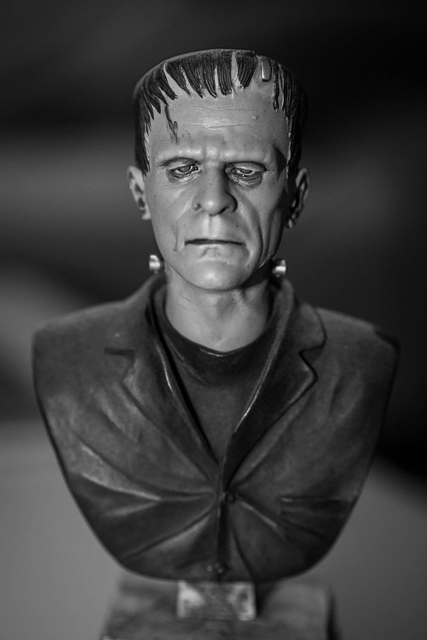 Frankenstein by Mary Shelley (image credits: pixabay)