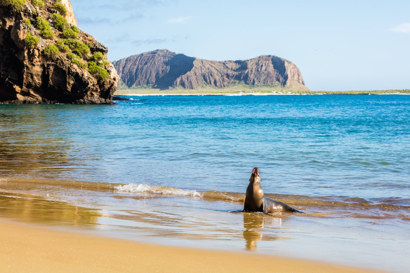 9. The Galápagos Islands, Ecuador (image credits: wikimedia)
