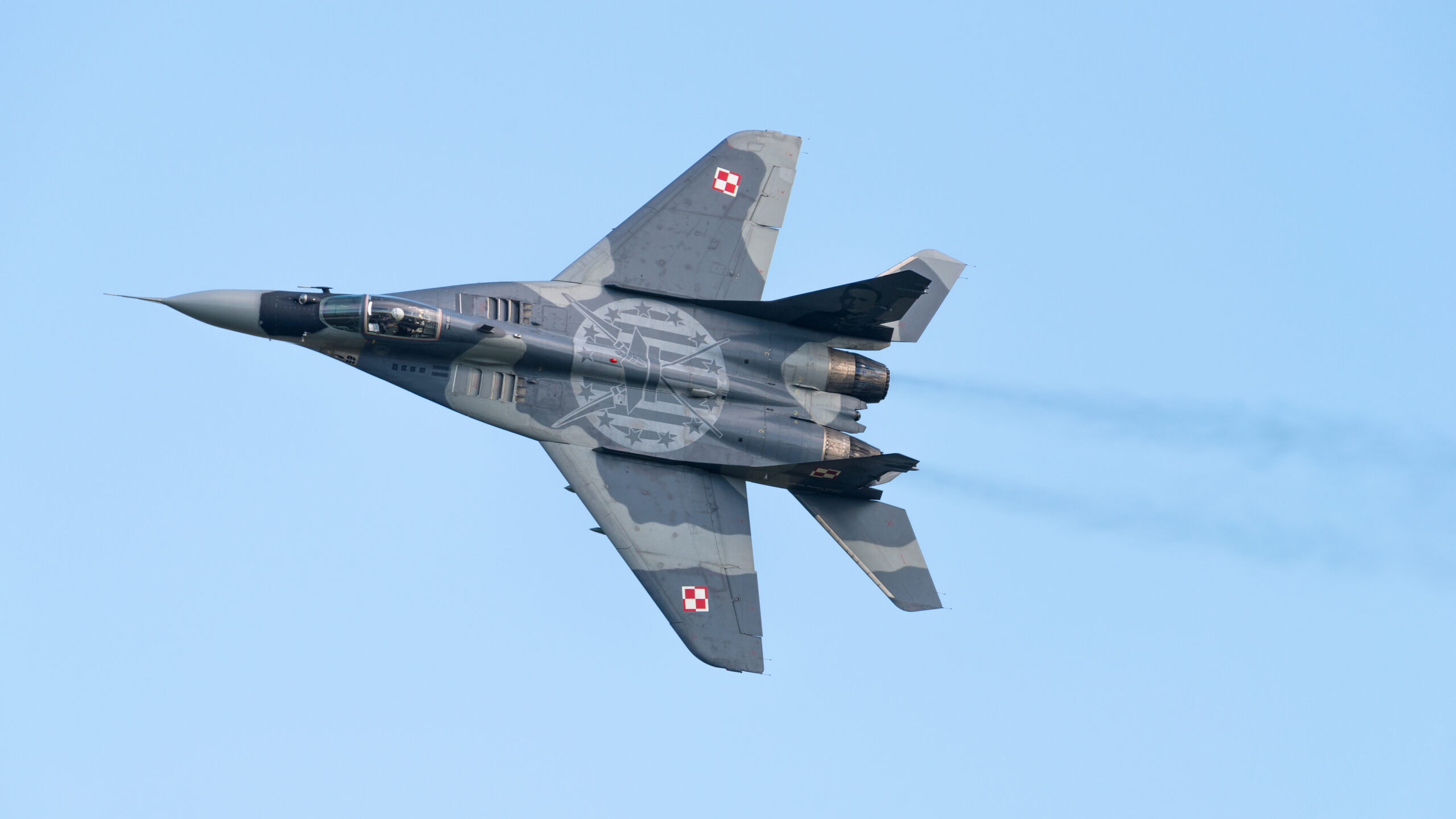 The F-22 Raptor – Unmatched Air Superiority (image credits: wikimedia)