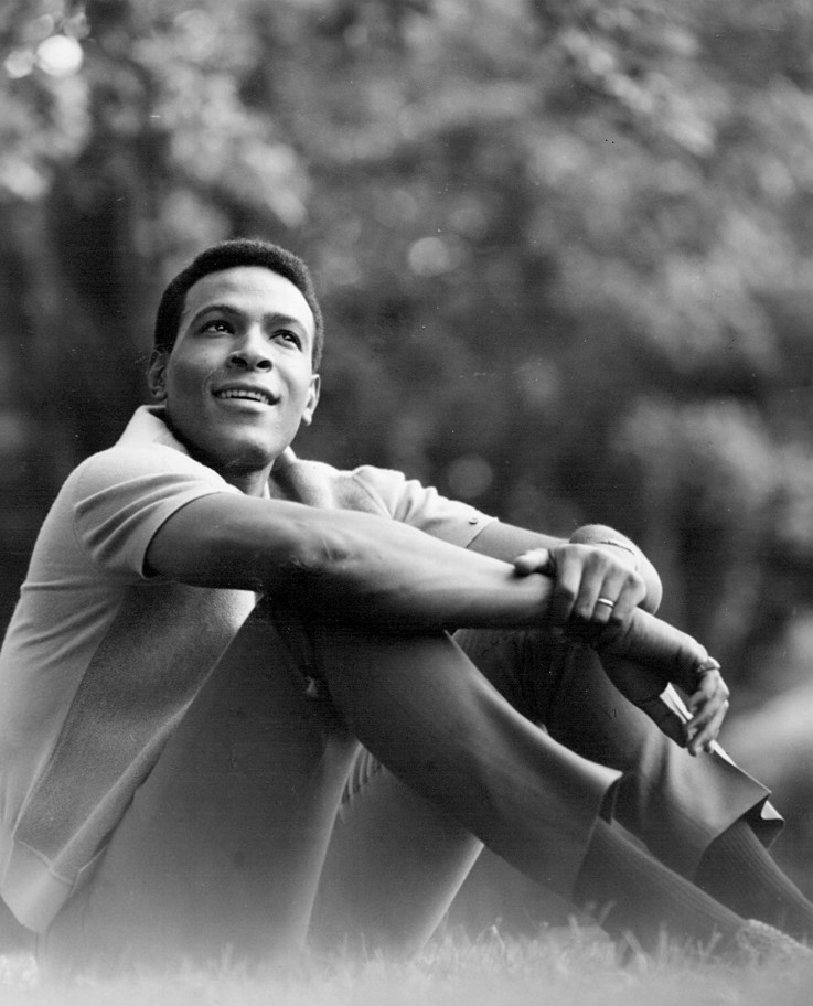 Let’s Get It On – Marvin Gaye (1973) (image credits: wikimedia)