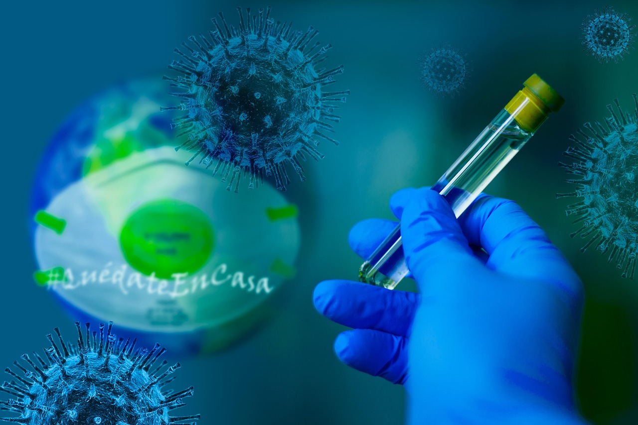The COVID-19 Pandemic (2020–2022) (image credits: pixabay)