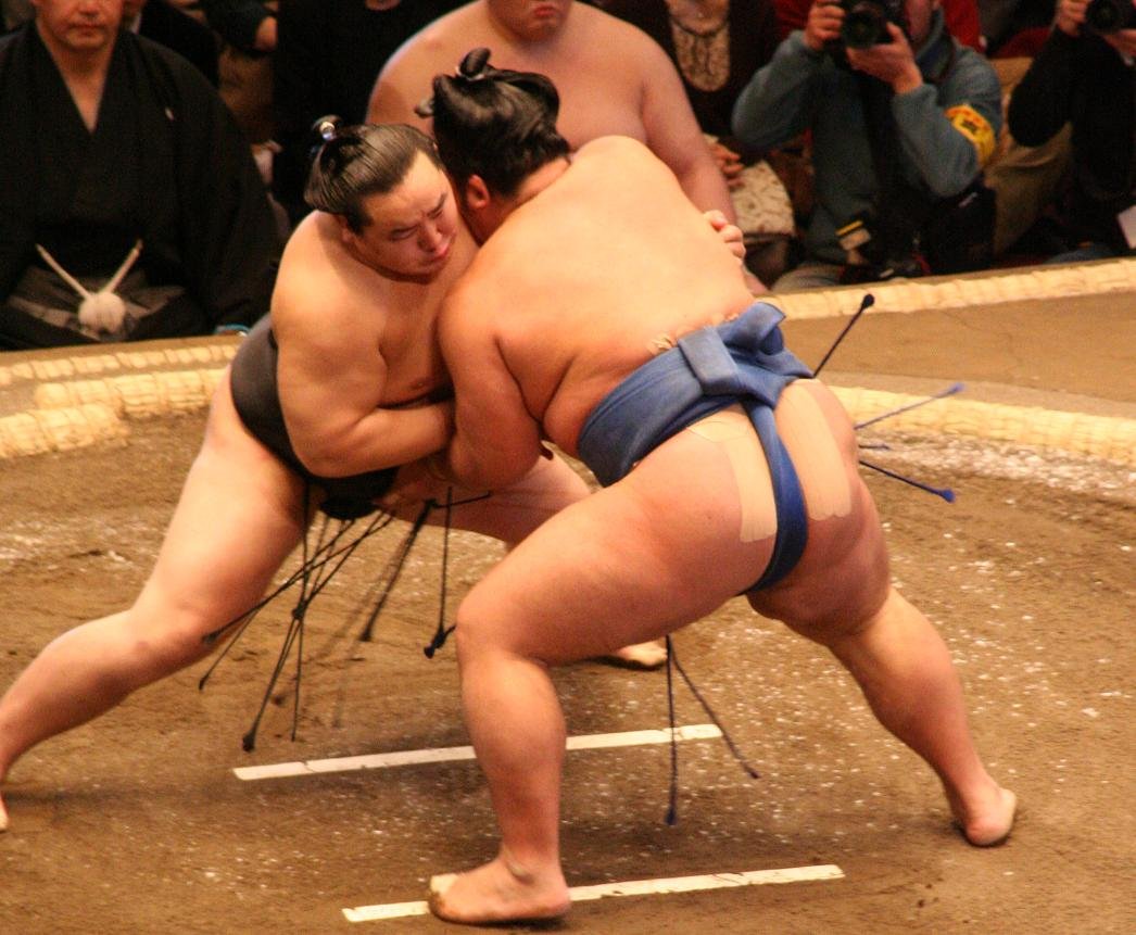 3. Sumo Wrestling (Japan) (image credits: wikimedia)