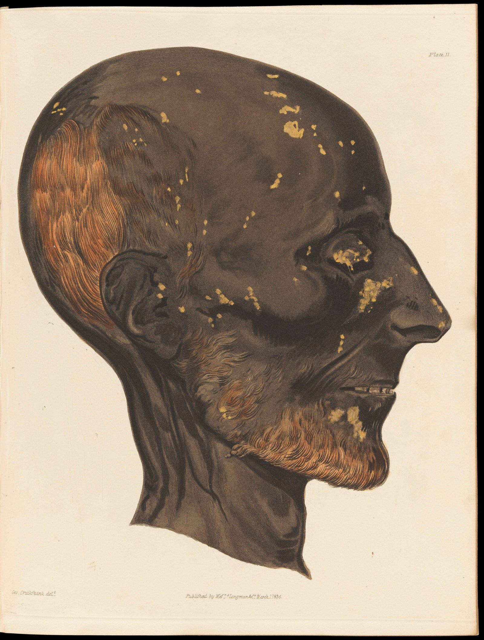 7. Mummification (Egypt & Peru) (image credits: wikimedia)