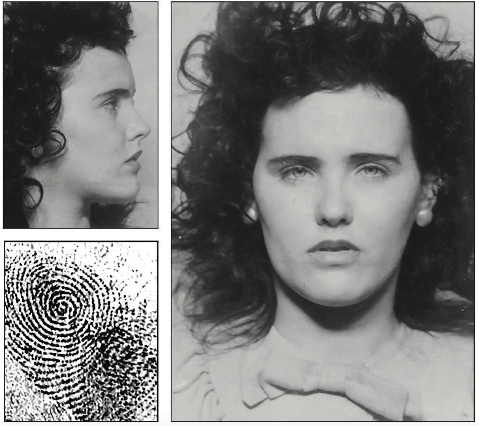 The Black Dahlia Murder: Hollywood’s Darkest Cold Case (image credits: wikimedia)