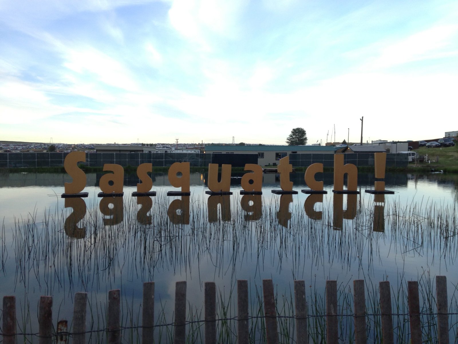 Sasquatch! Music Festival (George, WA) – May 23–25, 2025 (image credits: wikimedia)