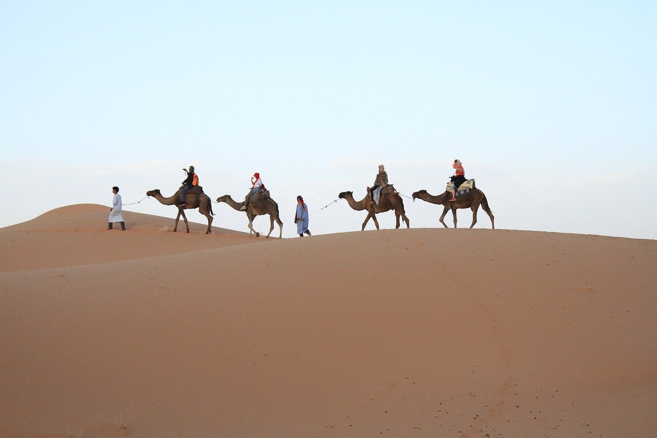๐ฒ๐ฆ Marrakech โ The Sheltering Sky by Paul Bowles (image credits: pixabay)