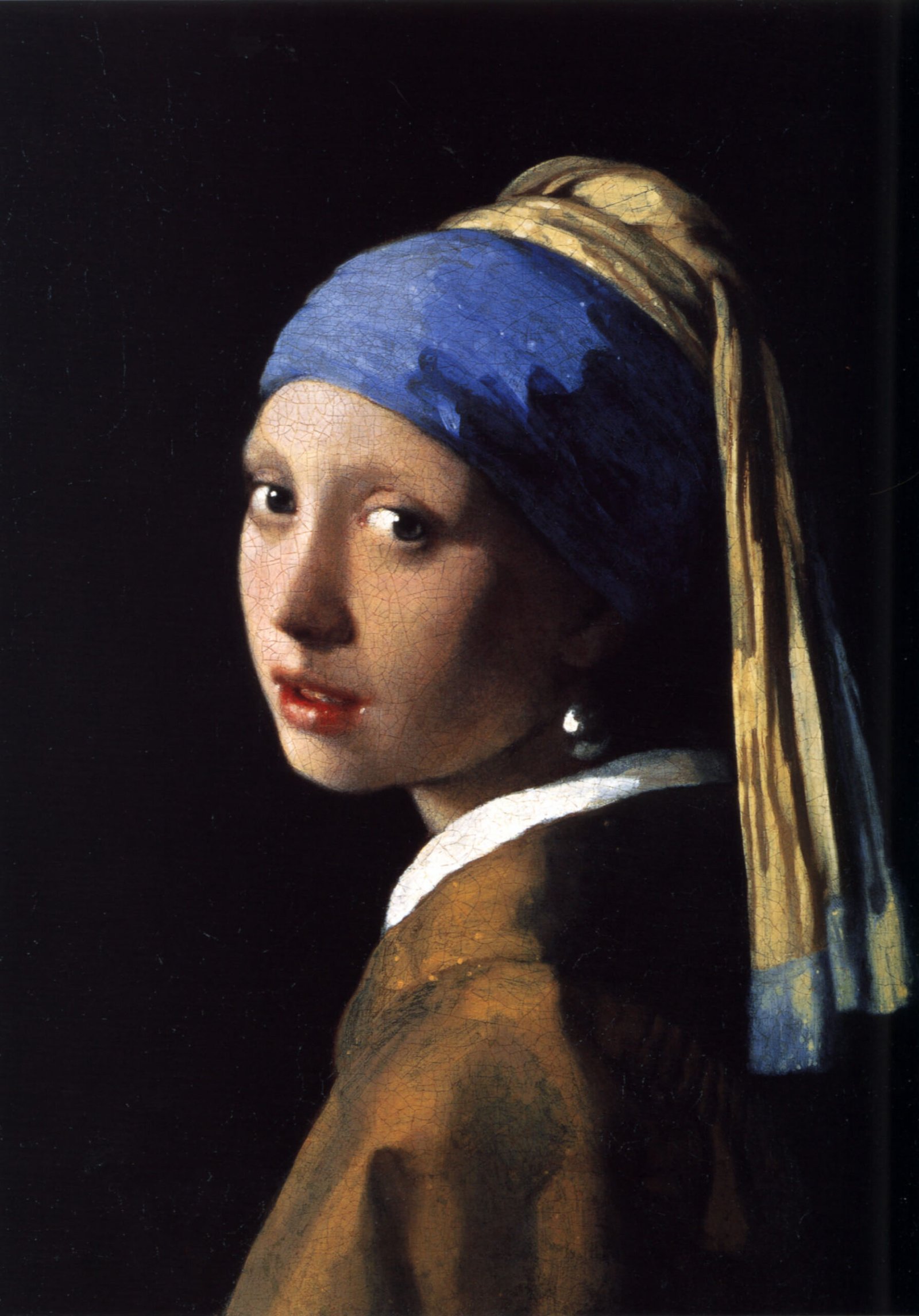 Vermeer's Hidden Grid (image credits: wikimedia)