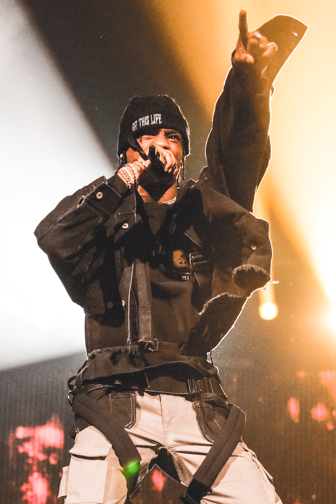 Travis Scott – ASTROWORLD (image credits: wikimedia)