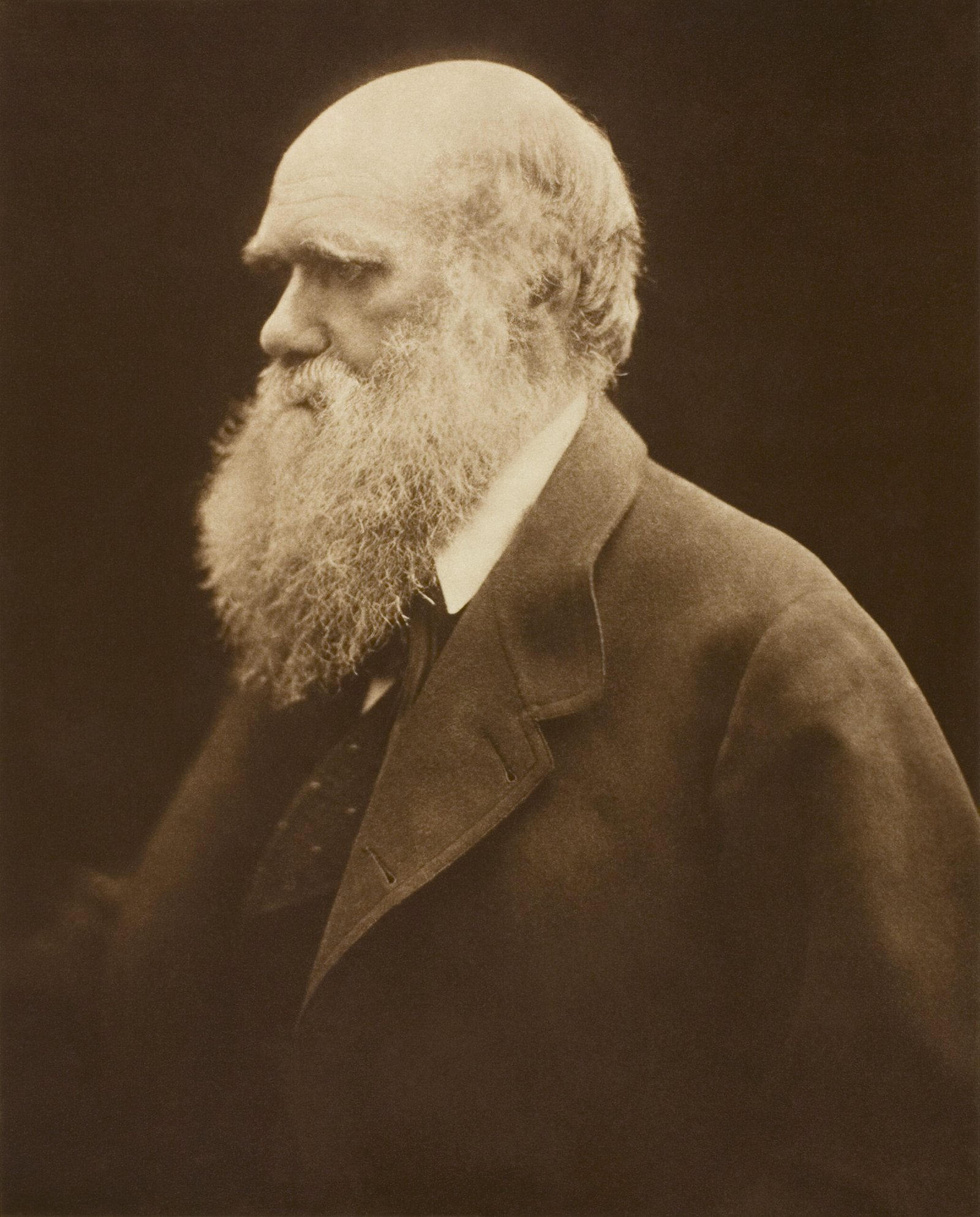 12. Charles Darwin: The Man Who Unlocked Evolution (image credits: wikimedia)